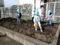 写真：ジャガイモ6