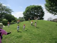 写真：幼児クラスが丘でかけっこしている様子1