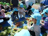 写真：土づくり1