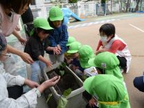写真：苗植え5