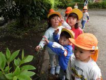 写真：3歳児遠足5
