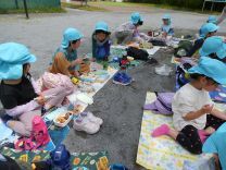 写真：4.5歳児遠足12