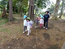 写真：4.5歳児遠足10