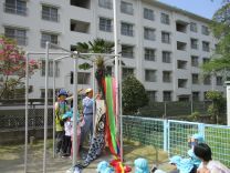 写真：こいのぼり2