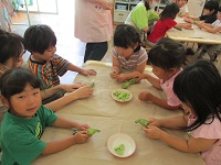 そら豆の皮をむいている4歳児の写真
