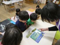 写真：そら豆1