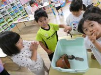 写真：ザリガニ2