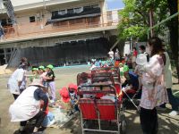 0歳児もバギーに乗って参観している写真です。